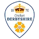 Derbyshire Falcons